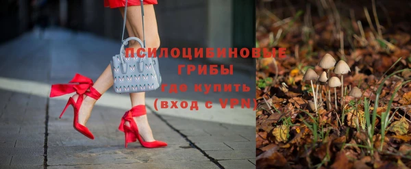 эйфоретик Анива